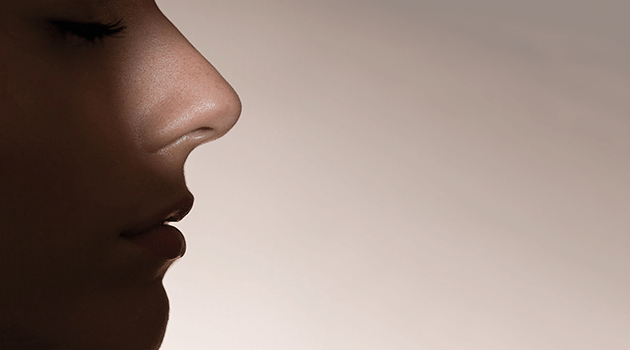 beauty of nose