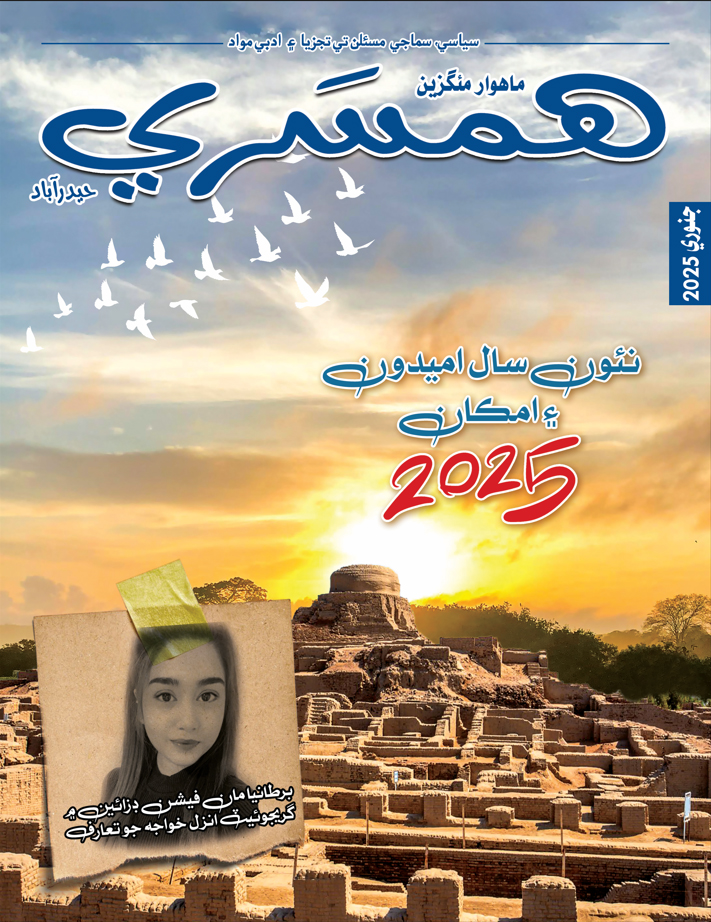 جنوري 2025 جو مئگزين
